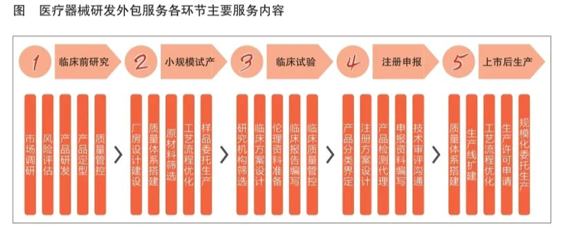 探索再生医学的新篇章:一场与时间赛跑的生命竞赛