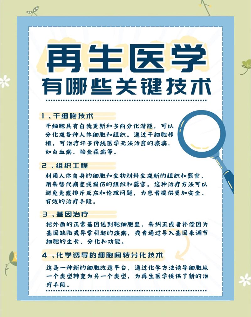 再生医学：重塑生命的力量