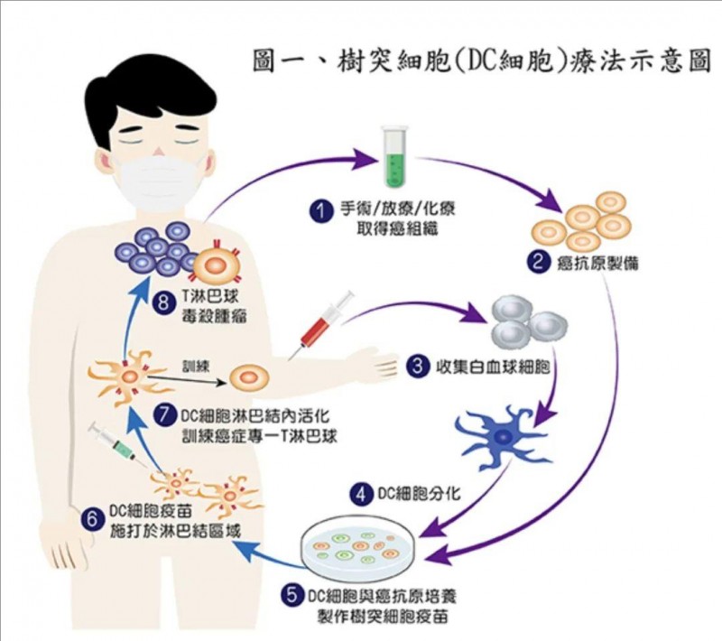 组织工程：重塑未来的医学奇迹