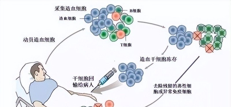 再生医学：开启生命修复新时代